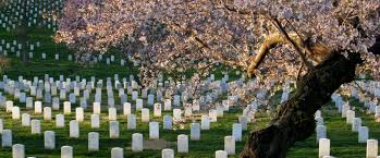memorial day images 2017 memorial day images 2017