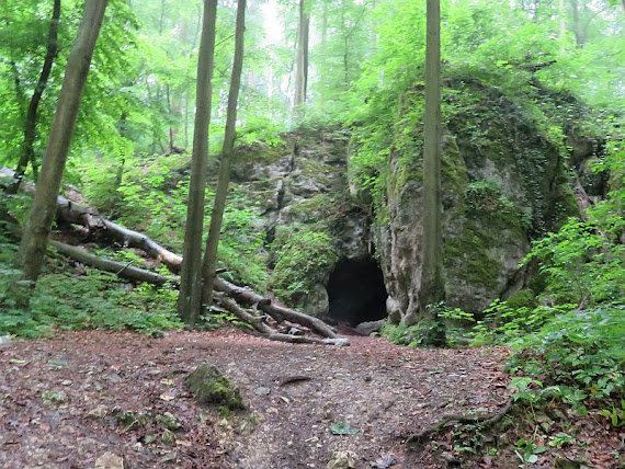 Jaskinia Niedźwiedzia jaskinia
