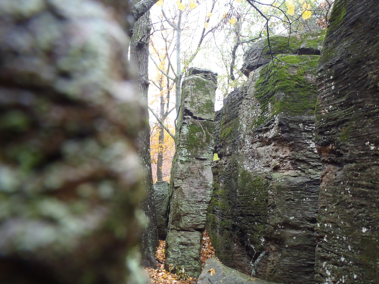 Mt. Kessler Greenways Trails of Arkansas (& now California)