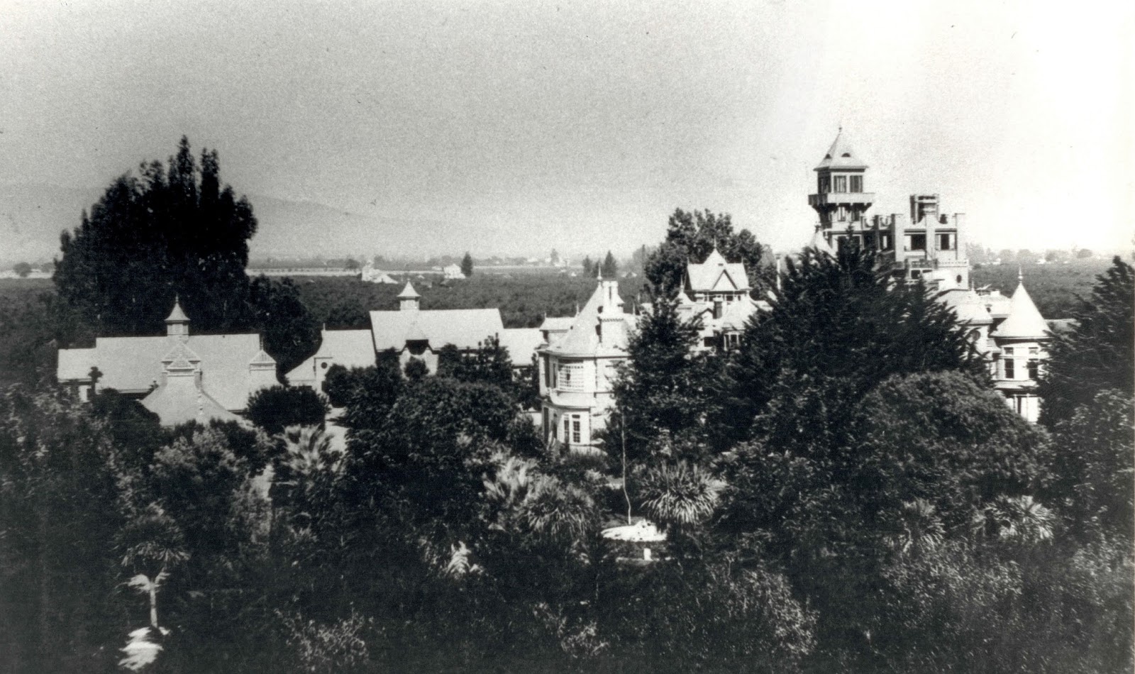 Forestdweller Winchester Mystery House