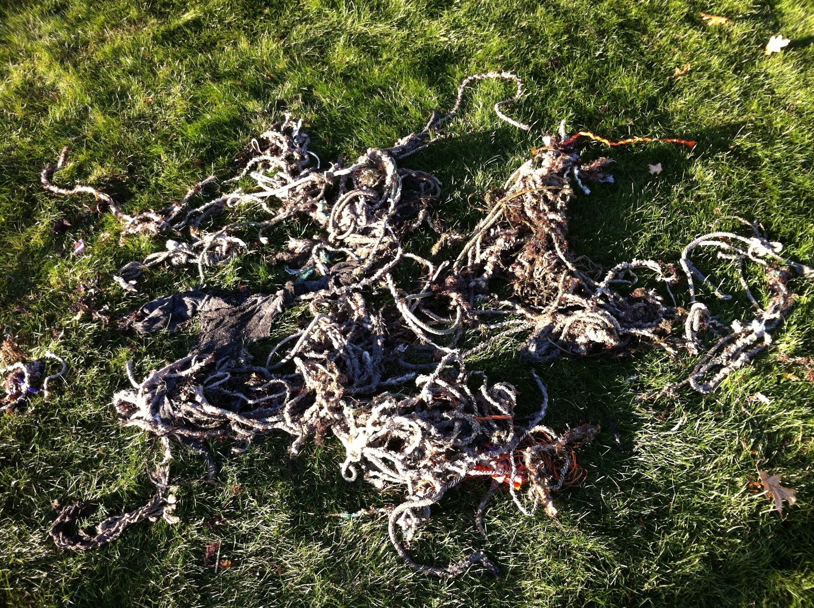 The Flotsam Diaries: November 2012