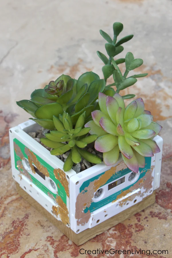 Cassette Tape Succulent Planter Guest Post!
