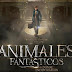 DESCARGA Animales Fantásticos: Casos GRATIS (ULTIMA VERSION FULL E ILIMITADA)