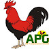IGBOS ARE AT A POLITICAL CROSSROADS- SECRETARY, APGA-USA