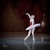 Ivan Vasiliev & Stars of the Russian Ballet