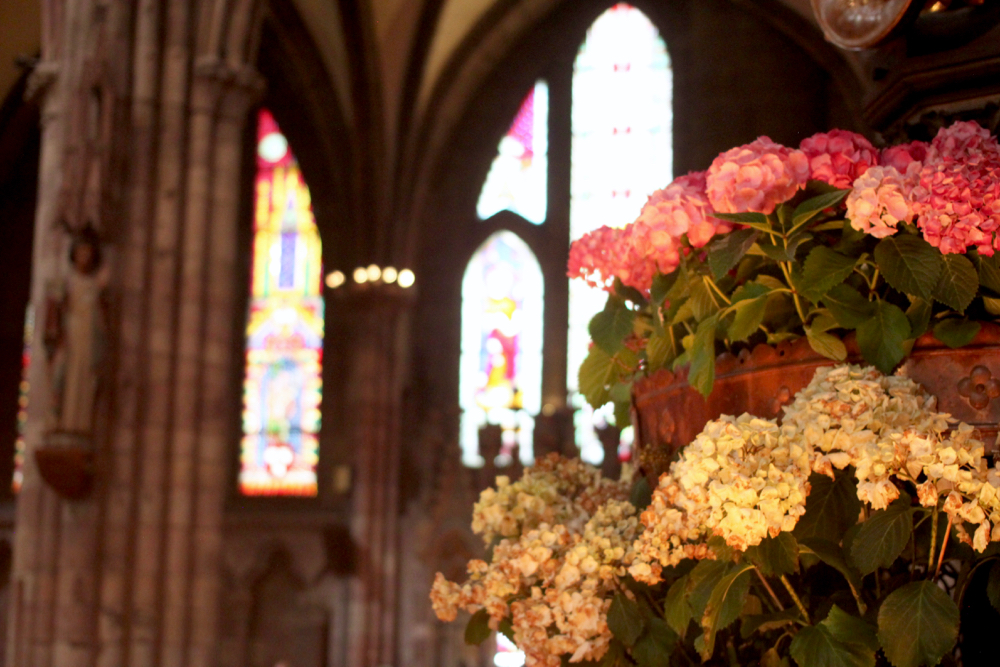 A trip to Freiburg | www.hannahemilylane.com