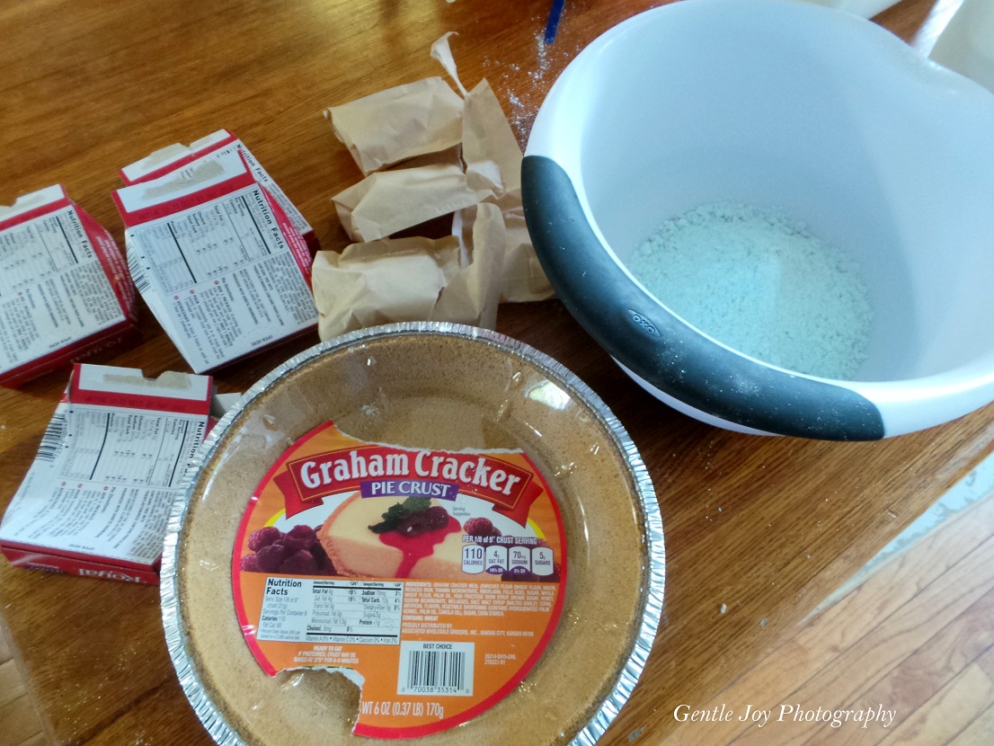 Gentle Joy Homemaker WHAT Is Swamp Pie???