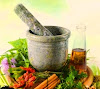 Types of Medicinal Herbs and Their Benefits For Human Health
