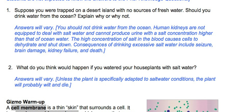 Student Exploration Moles Answers Moles Activity B And C Pdf Name Anthony Bui Date Student Atmosphere