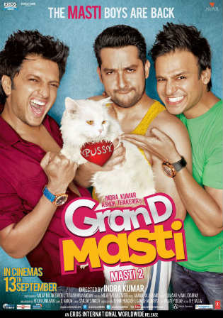 Grand Masti 2013 Hindi Movie 480p HDRip 350MB watch Online Download Full Movie 9xmovies word4ufree moviescounter bolly4u 300mb movie