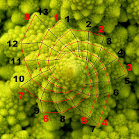 http://aetherforce.com/fibonacci/