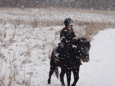 konie, kucyki, jazda konna, jazda w terenie, jazda konna dla dziecka, ferie zimowe, zima w Krakowie, zamieć śnieżna, śnieżyca
