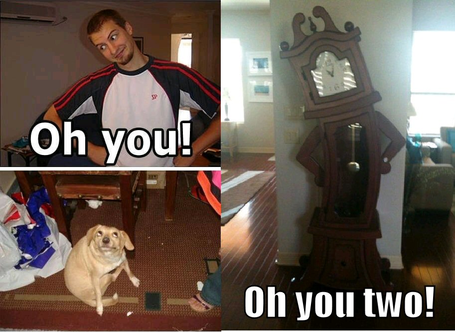 Oh you dog. Oh you try to. Oh you try to. Oh you meme dog. Oh you meme dog.