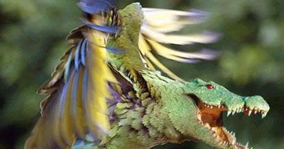 art sci wicked photoshopped animal hybrids