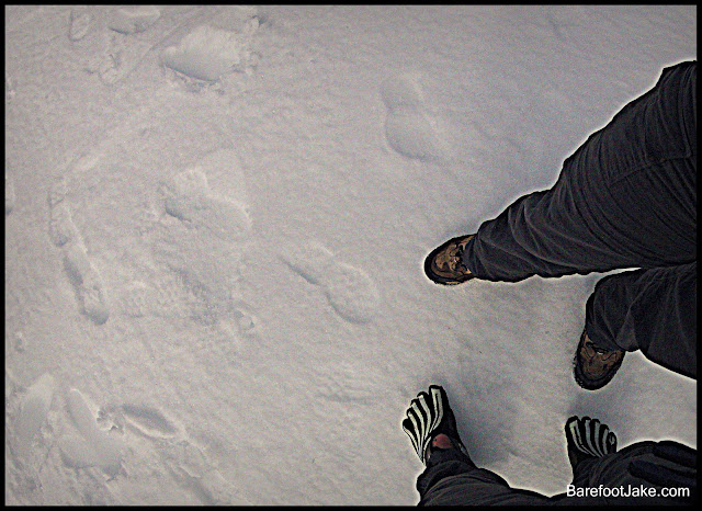 snow footprint