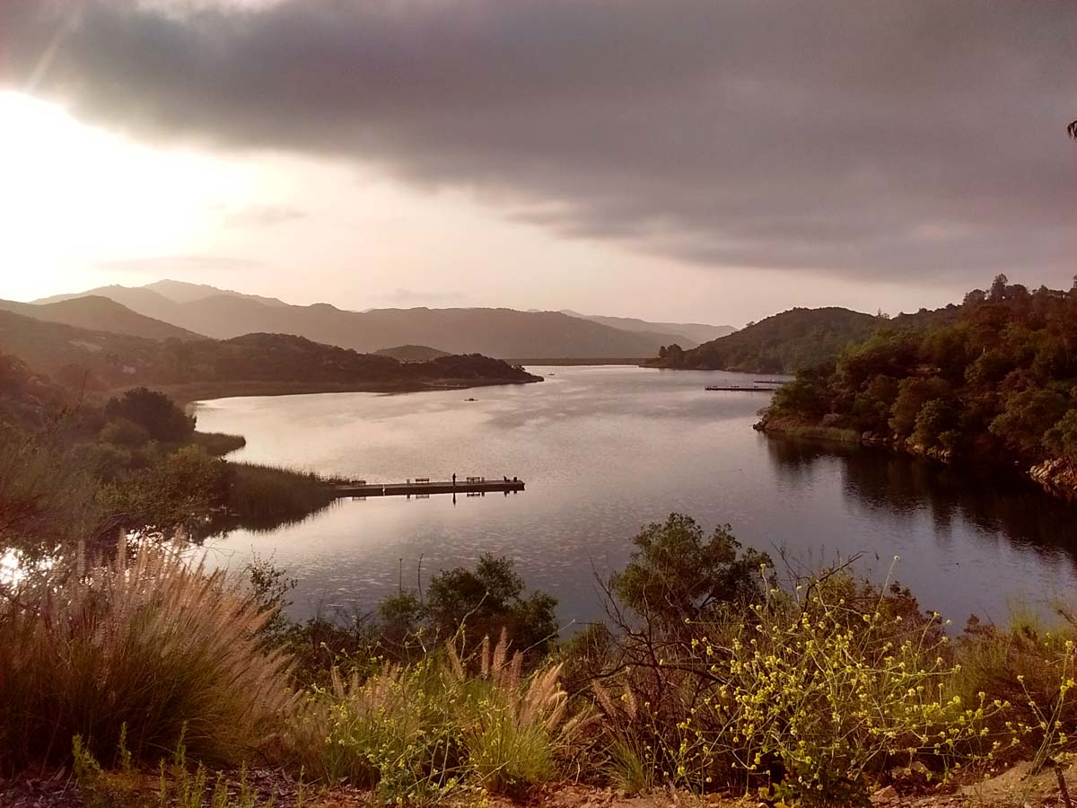 Birding Site Guide: Dixon Lake - Greg in San Diego
