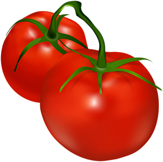 Tomatoes_Transparent_PNG_Clip_Art.png