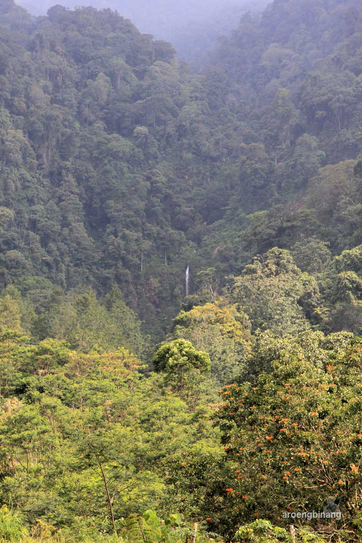curug cijalu subang