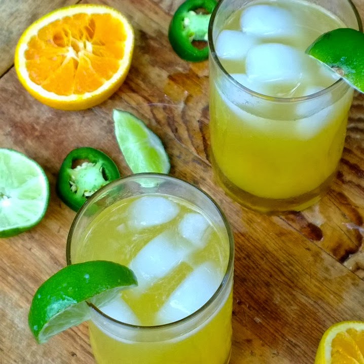 The Style Dossier SKINNY Tequila Cocktail