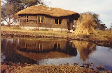 cabaña cerca del rio