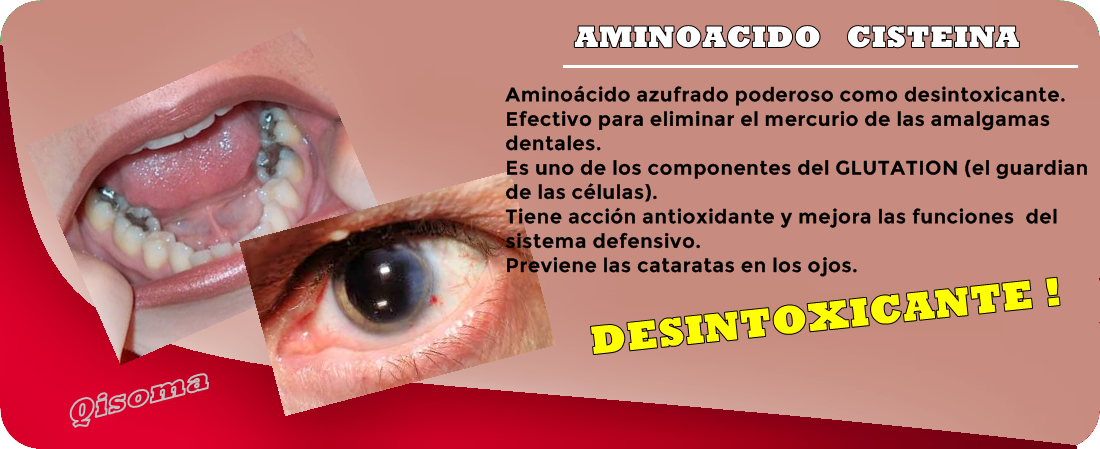 LA CISTEINA ACTUA COMO UN PODEROSO DESINTOXICANTE cisteina