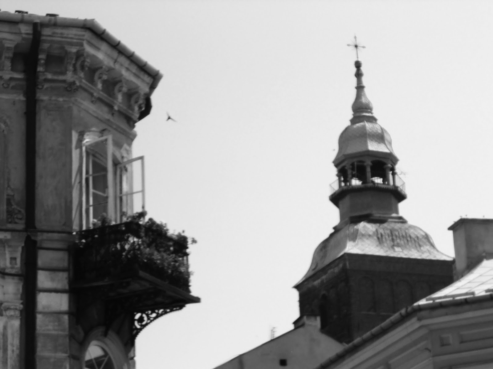 numphs Piotrków Trybunalski