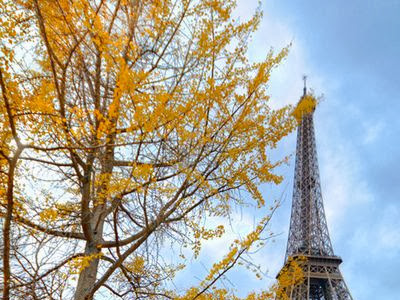 Today's Inspiration // Fall in Paris