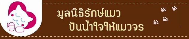 รายงานบัญชีปี2562