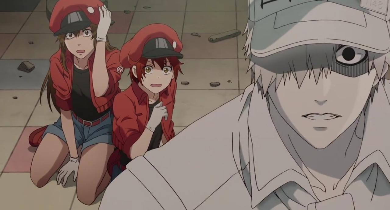 Cells At Work! Episode 1 First Impression Review – 「The Only Shinyuu Site」