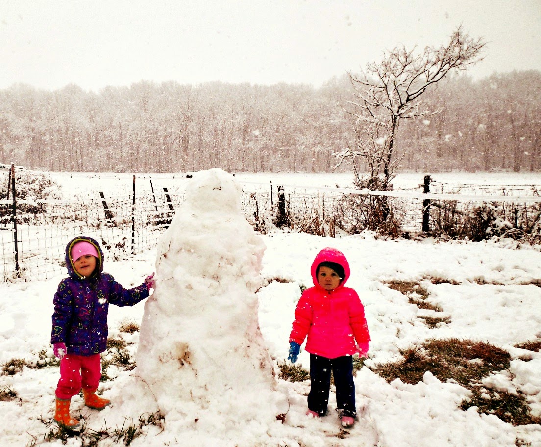 megan writes First snow in Virginia