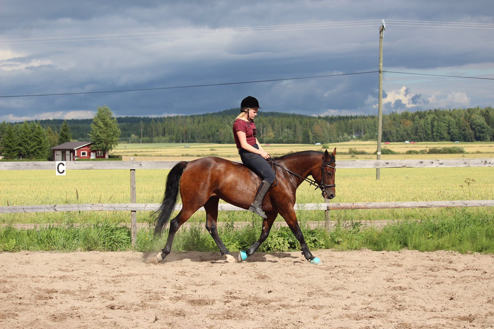 kuuma märkä pillua kuva