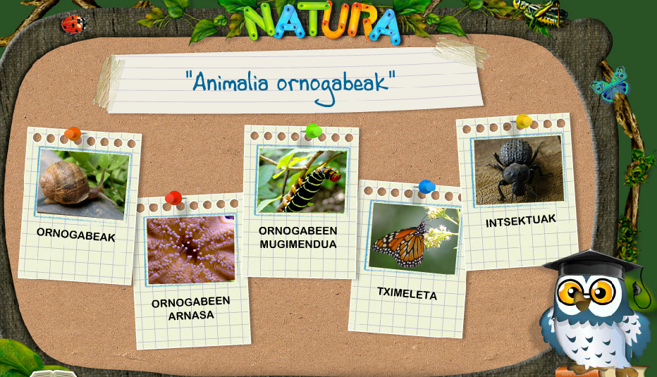 external image ornogabeak.png