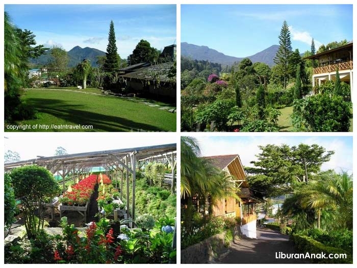 50 Tempat Wisata Yang Dapat dan Wajib Dikunjungi Saat ...