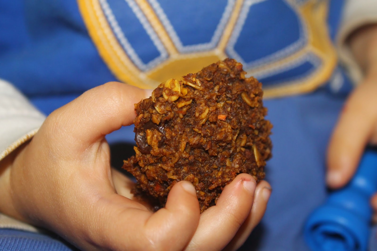 EVERYDAY ALLERGIC Carrot Molasses Cookies