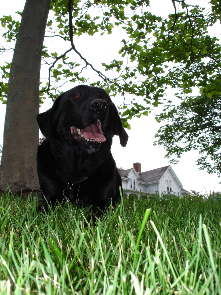 Grass Lab 2012 to the Grass Lab!