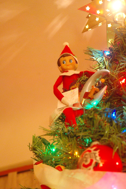 A Nest Full of Squishers: Elf on the Shelf
