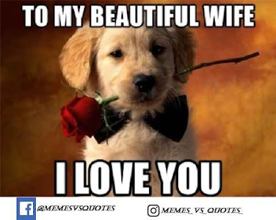 Best I love you meme / Love Meme To my beautiful wife