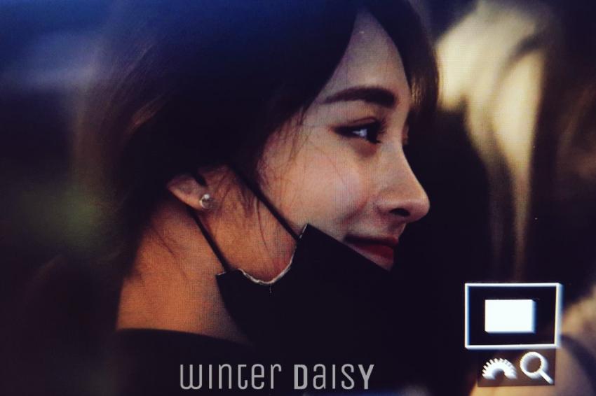 플레디스 캐리할 두명6