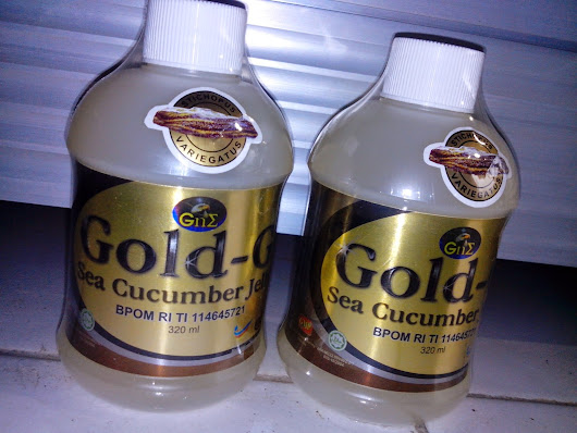 Obat Dispepsia | Toto Herbal