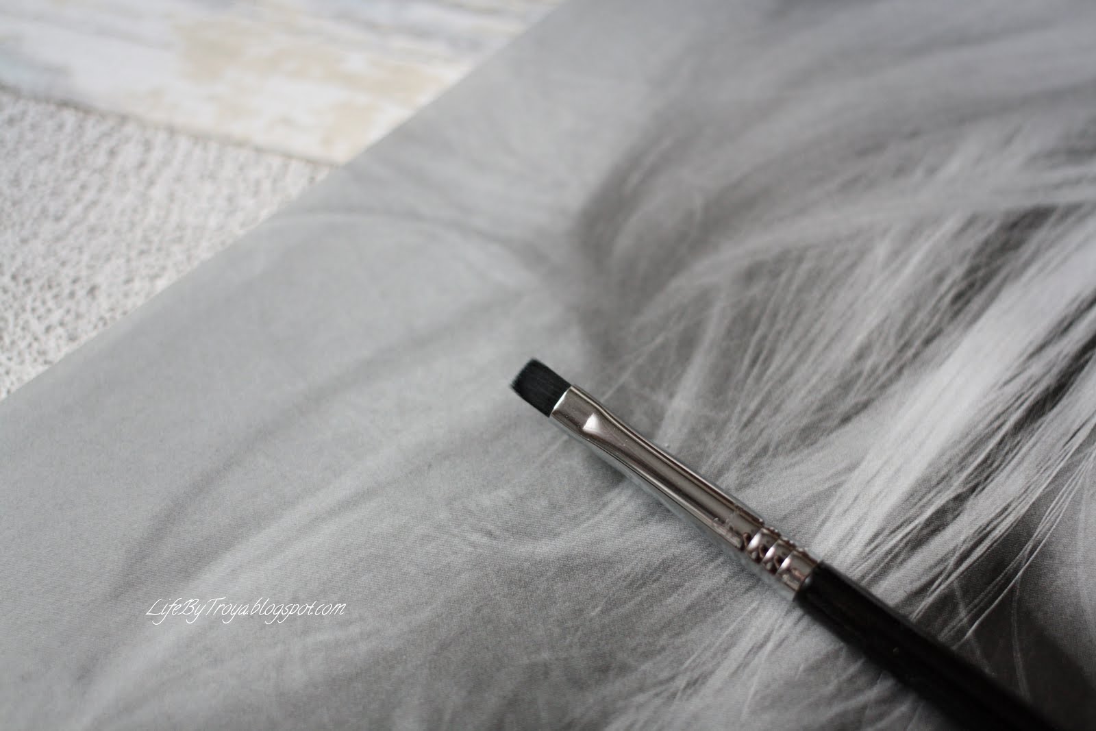 Review Sigma Brushes F79 Concealer Blend Kabuki, E34 Domed Utility
