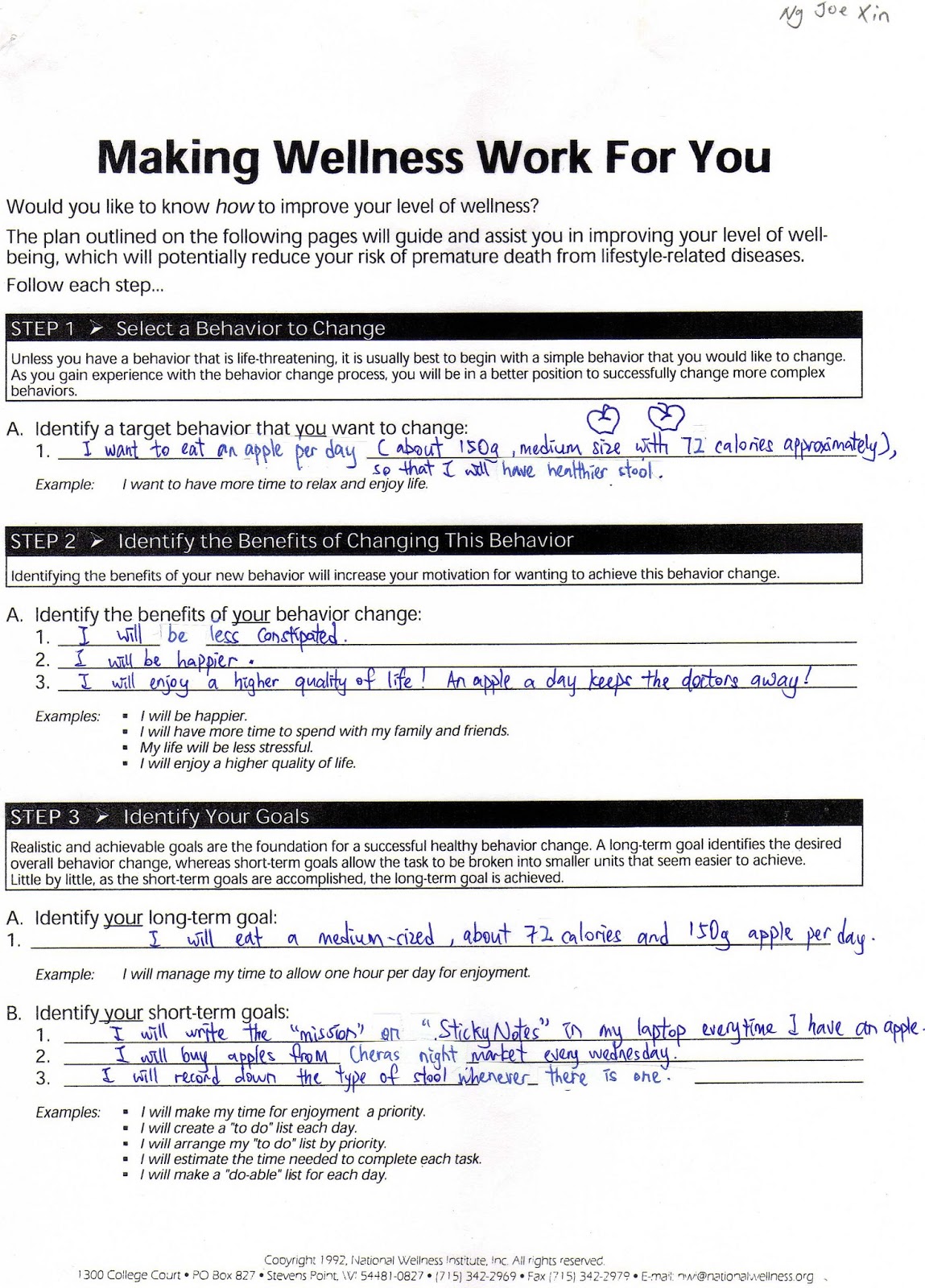 Personal health plan essay image