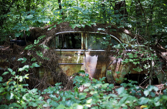 Old Car City - Cimetière de voitures  Zza4