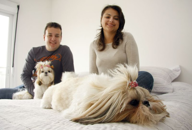 As pessoas que têm um shih tzu dormem melhor