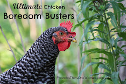 boredom chicken busters proverbs ultimate chickens backyard bored woman proverbsthirtyonewoman coop