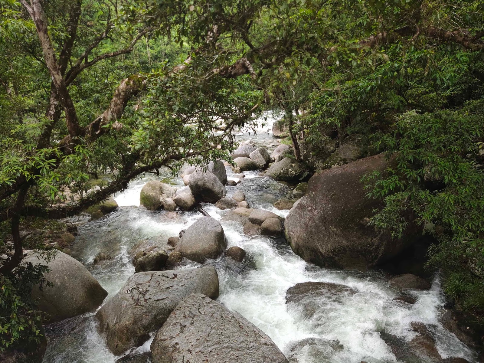 Foto Hasil Kamera 48 MP Vivo V15 Pro