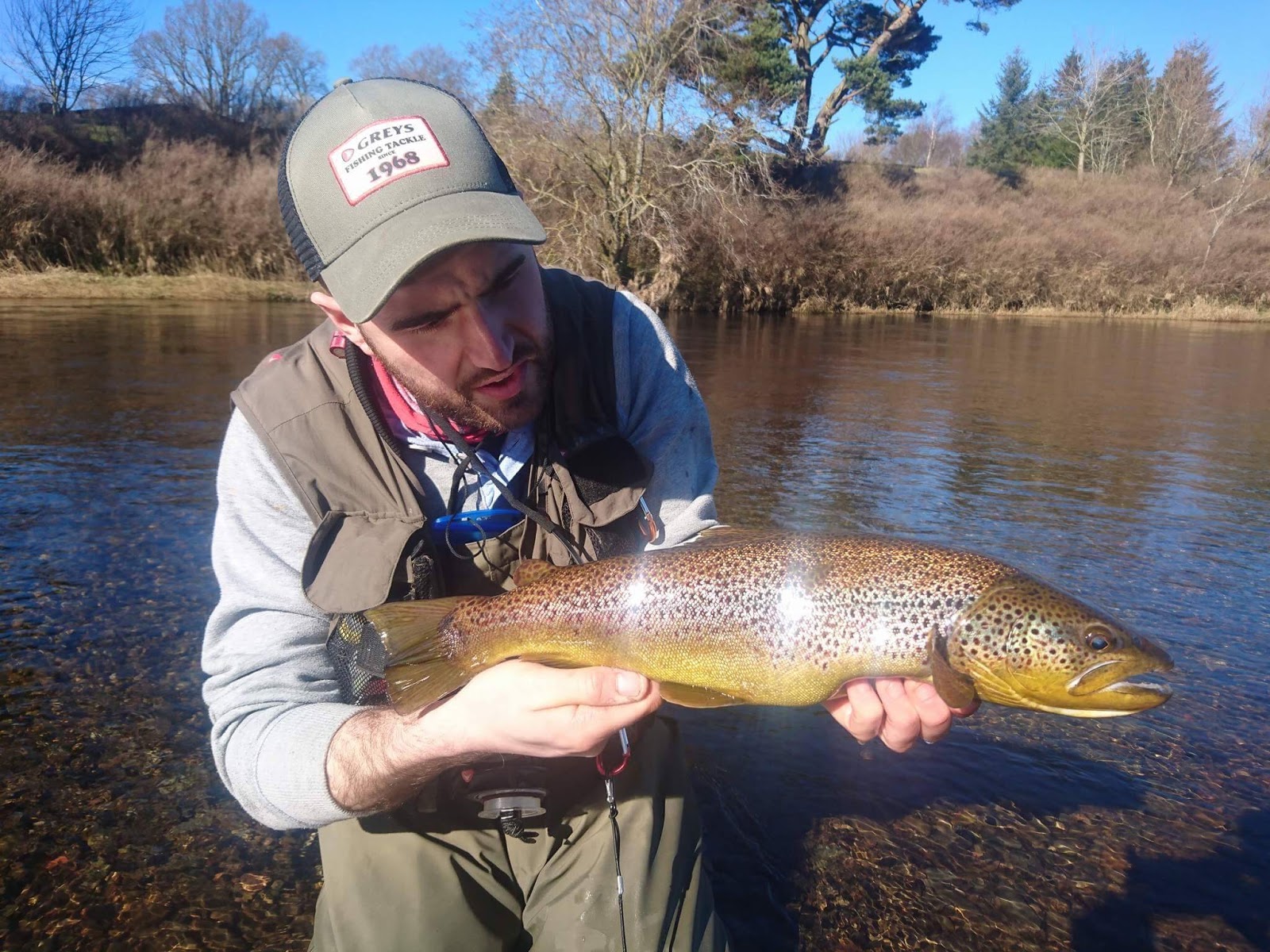 Flymanpete 2017 brown trout season on the River Clyde