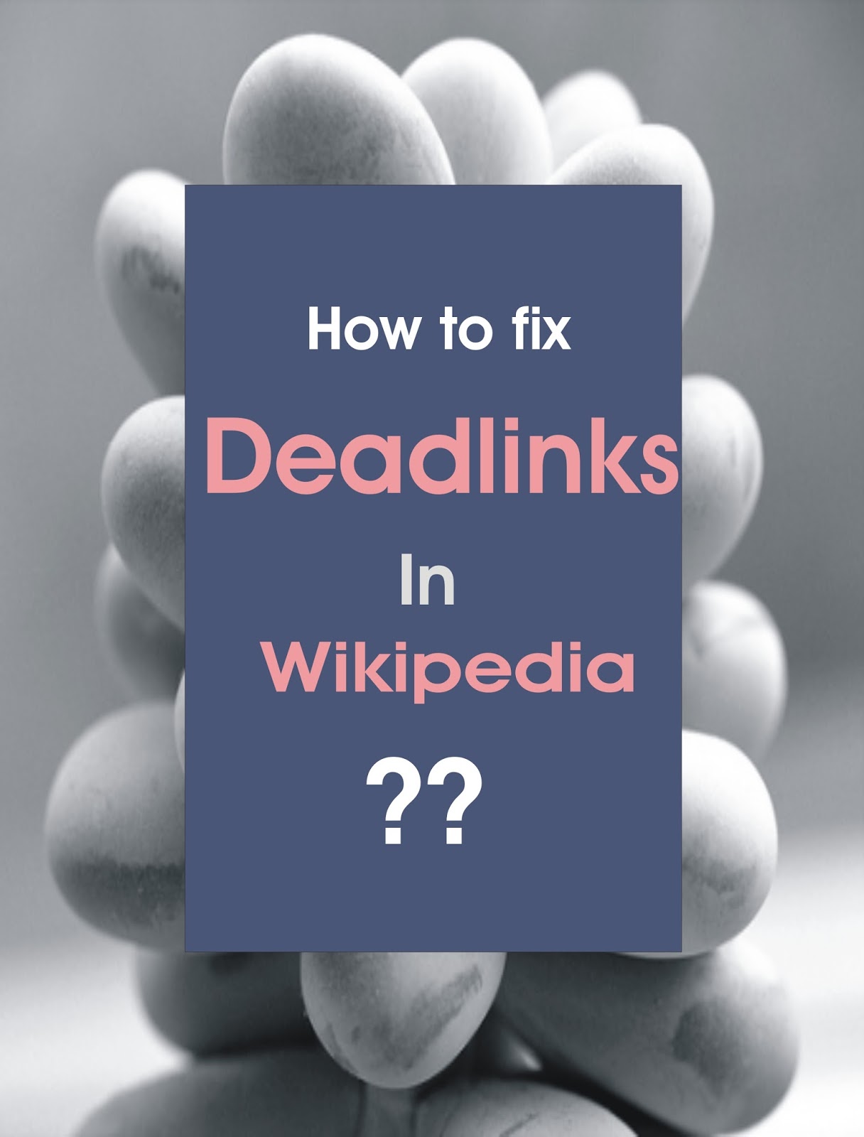 frolicpost How to fix a dead link in Wikipedia?