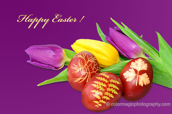 Easter card with Easter eggs and tulips.