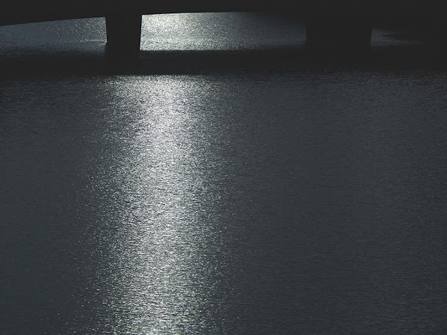 A reflective river