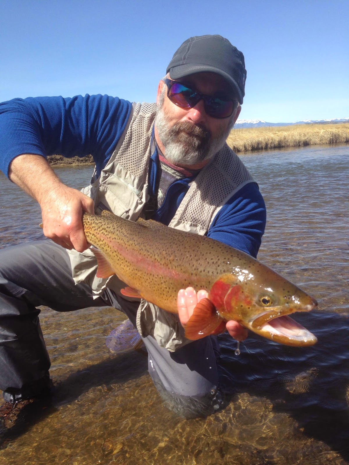 Addictive Angling Colorado Spring Fly Fishing with Addictive Angling